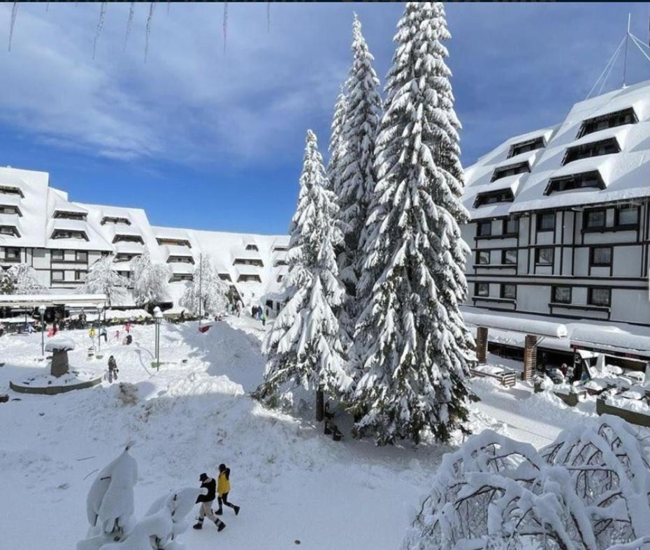 Apartmán Tim 135 Konaci-Angella Centar Kopaonik Exteriér fotografie